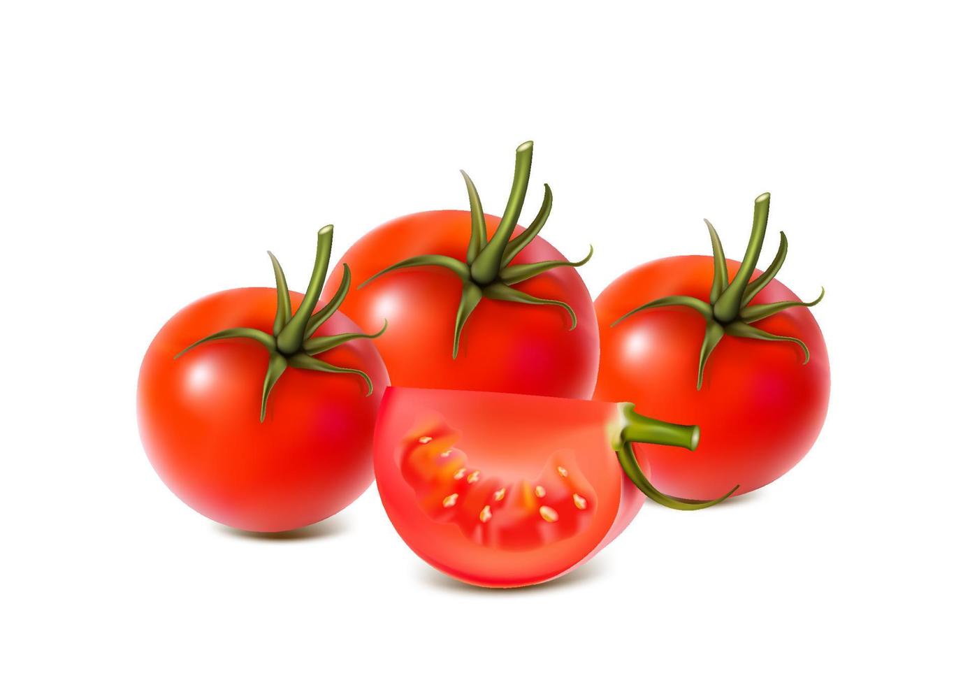 tomatskivor separat på vitt. ekologisk mat tomater realistisk vektorillustration av friska grönsaker vektor