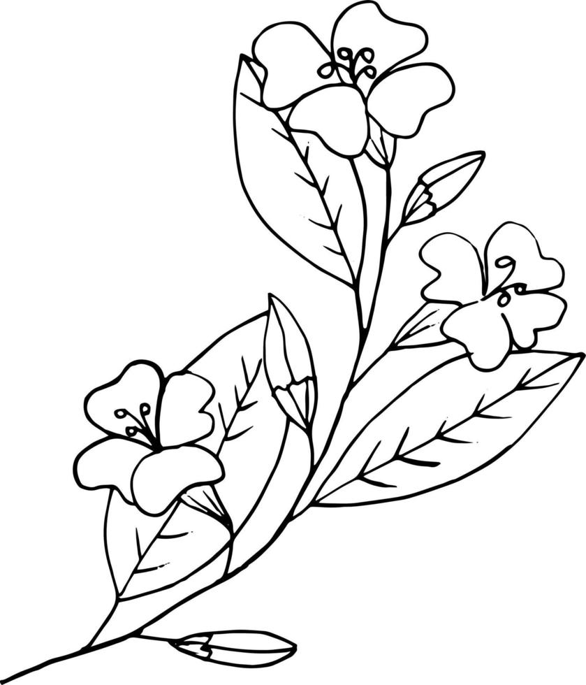 blommor på en gren med löv ikon, klistermärke. skiss handritad doodle stil. monokrom minimalism. aprikos, körsbär, persika, sakurablom, vår, sommar, växt. vektor