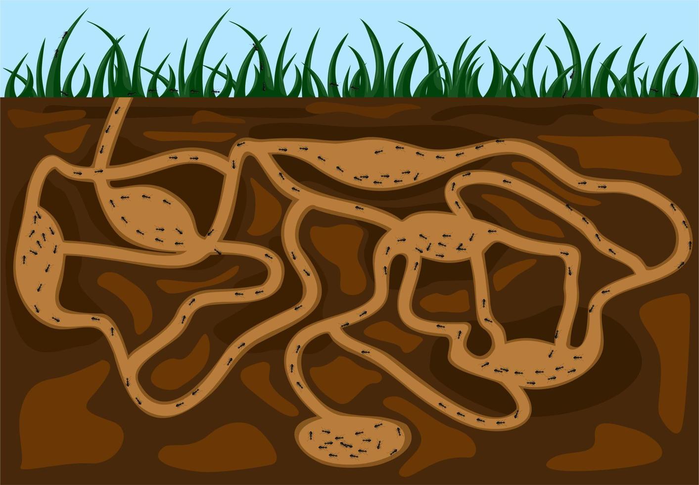 myrfamilj som rör sig i tunnlar myrstack. hem för insekter som lever i jorden. vektor tecknad närbild illustration.