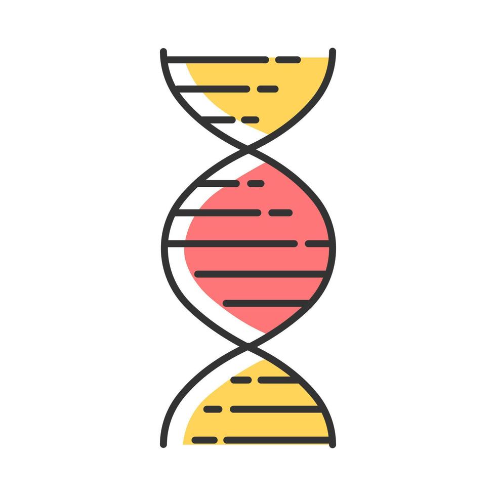 dna dubbel helix färgikon. deoxiribonuklein, nukleinsyrastruktur. spiralformade trådar. kromosom. molekylärbiologi. genetisk kod. genom. genetik. isolerade vektor illustration