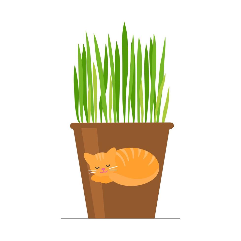 Gras in einem Blumentopf für Katzen. vektor