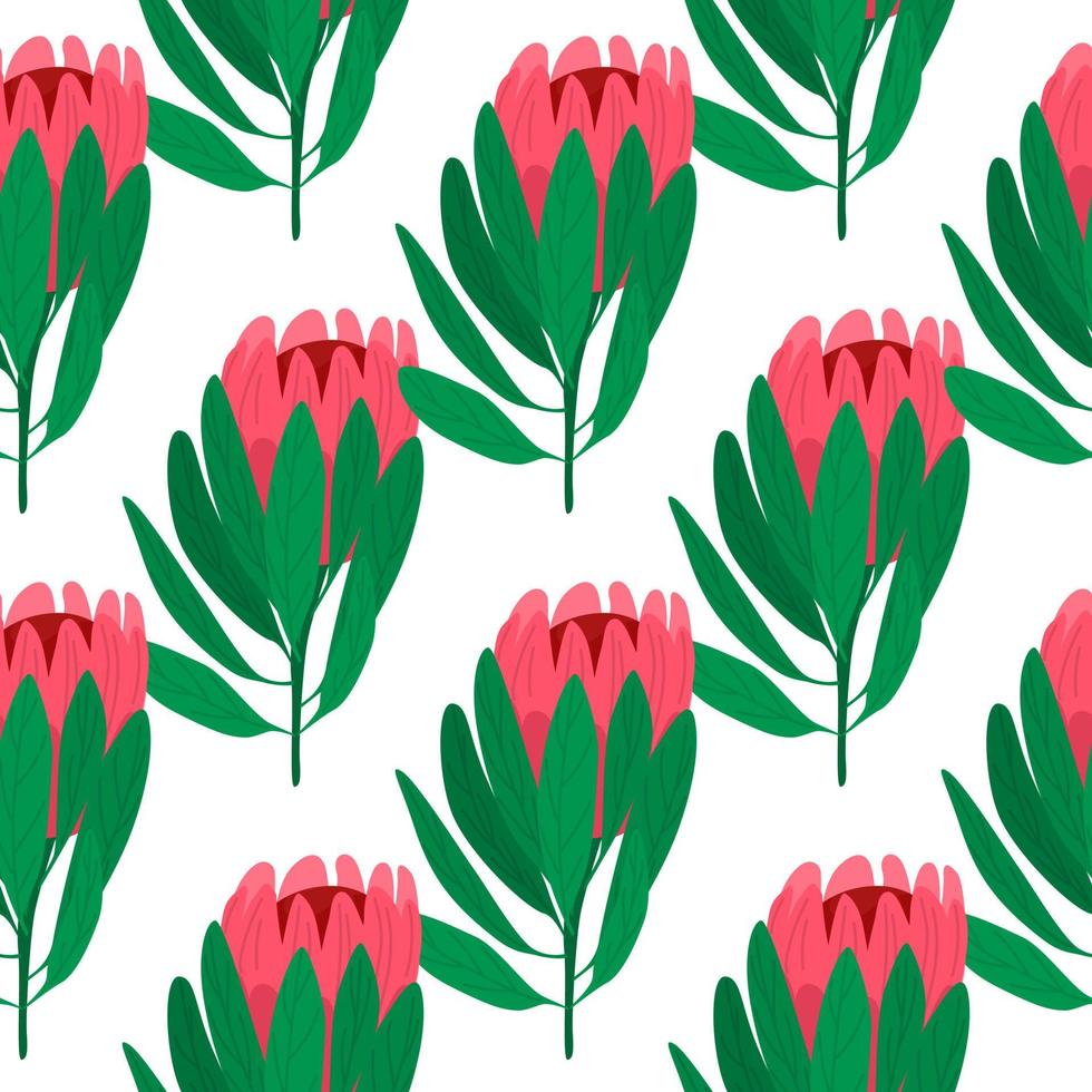 isolerade sömlösa botaniska mönster med doodle rosa protea blomma och gröna blad. vit bakgrund. vektor