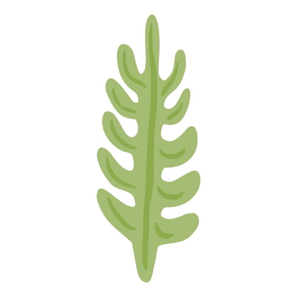 Caulerpa-Algen isoliert auf weißem Hintergrund. dekoratives Symbol Meeresalgen grüne Farbe. Skizze im Stil Doodle. vektor