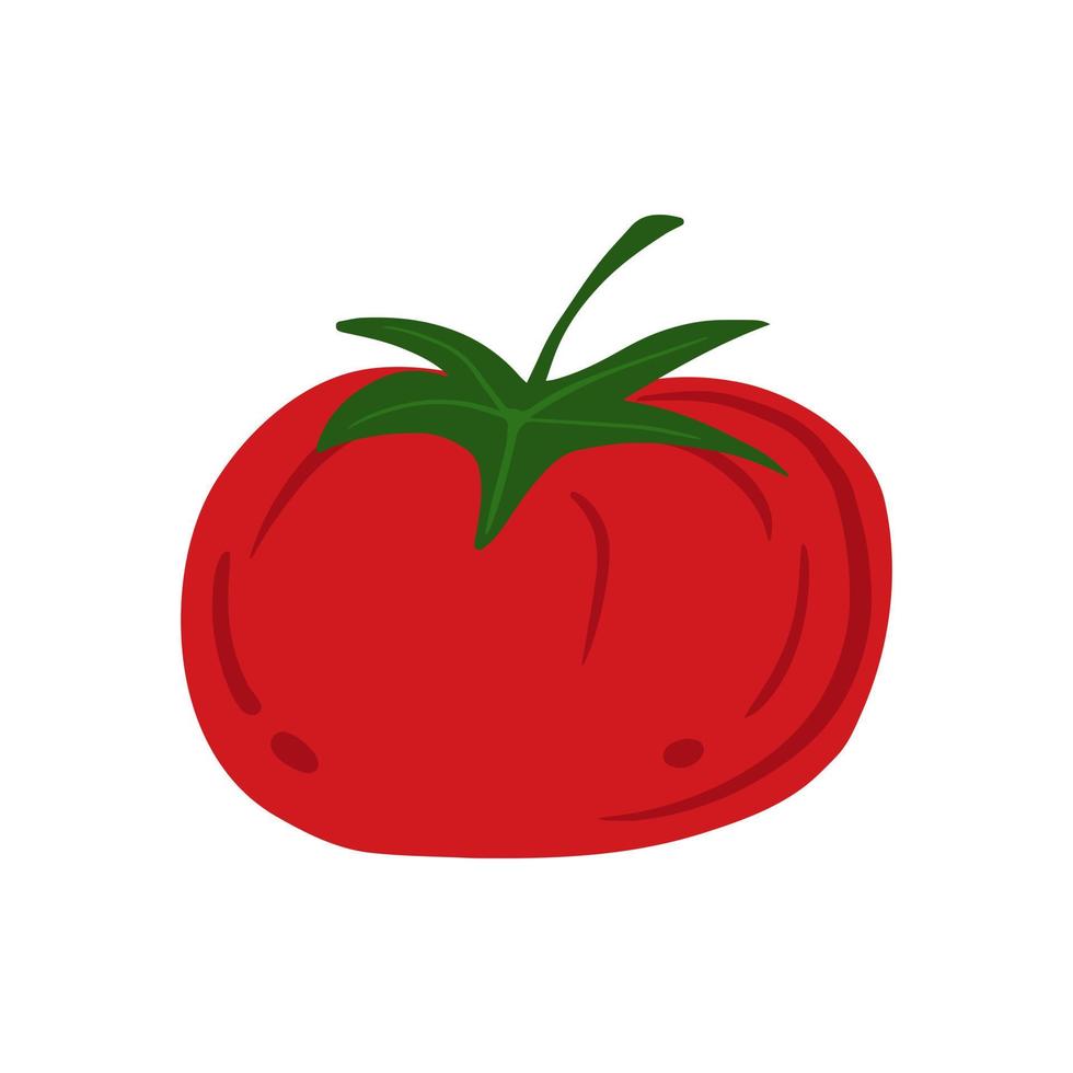 Tomaten im Doodle-Stil isoliert auf weißem Hintergrund. handgezeichnetes kirschtomatengemüse. vektor