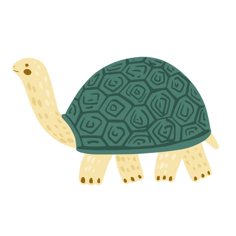 Schildkröte isoliert auf weißem Hintergrund. niedliche zeichentrickfigur schildkröte. vektor