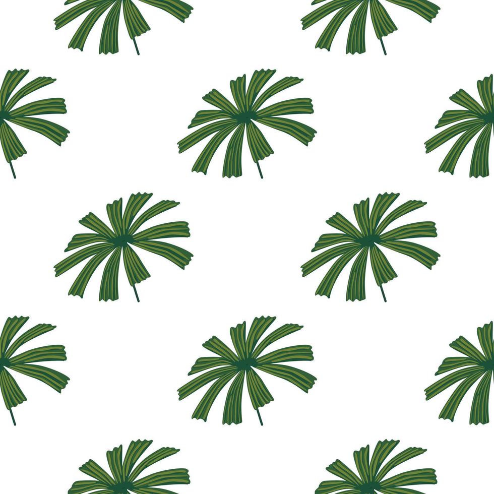 isoliertes botanisches nahtloses muster mit grüner palmen-licuala-verzierung. weißer Hintergrund. einfacher Stil. vektor