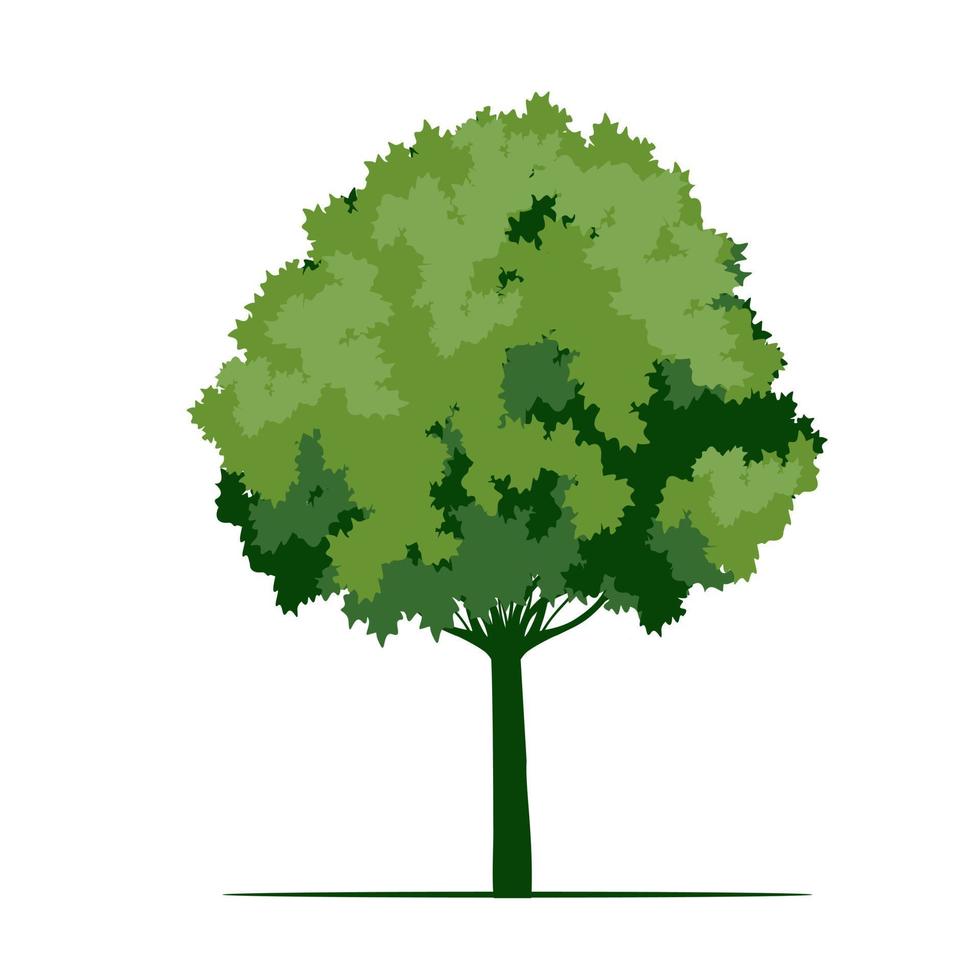 grönt träd med löv och rötter. vektor kontur illustration. plantera i trädgården.