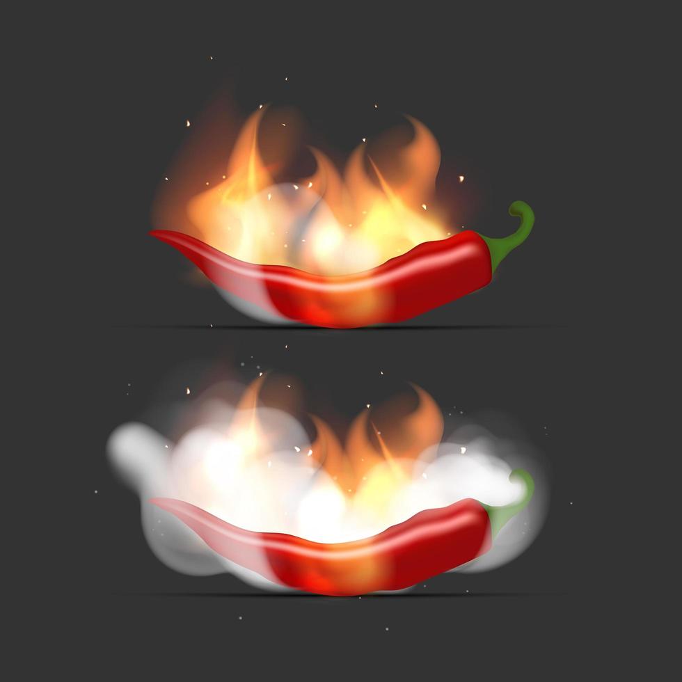 uppsättning röda paprika i brand och rök. chilipeppar vita rökmoln och lågor. realistisk stil. vektor illustration.