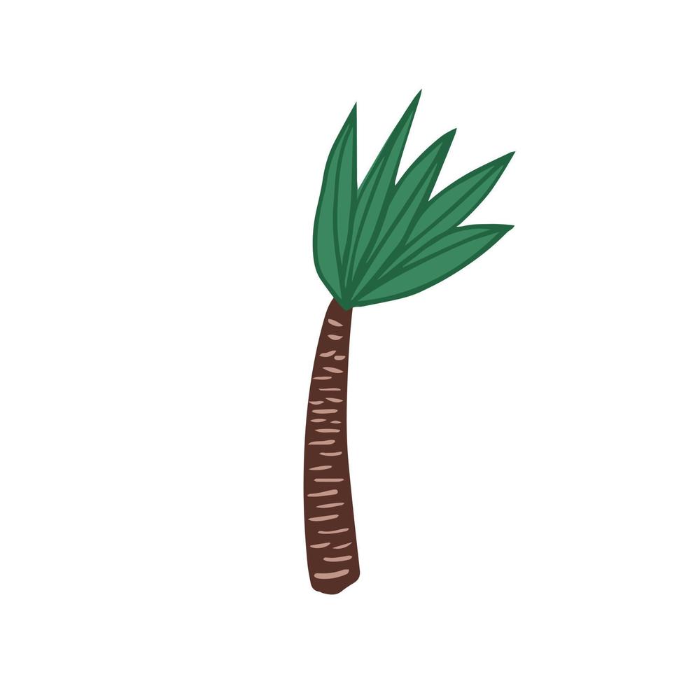 Palme im Doodle-Stil isoliert auf weißem Hintergrund. hand gezeichneter exotischer regenwaldbaum. vektor