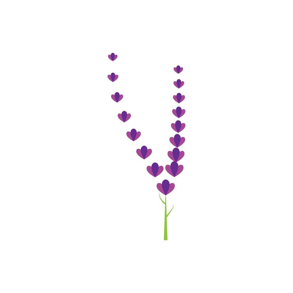 färsk lavendel blomma logotyp vektor platt design