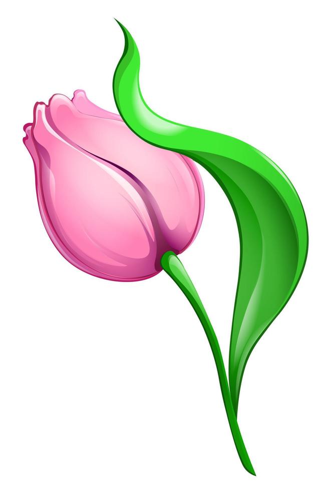 rosa Cartoon-Tulpe mit Blatt vektor