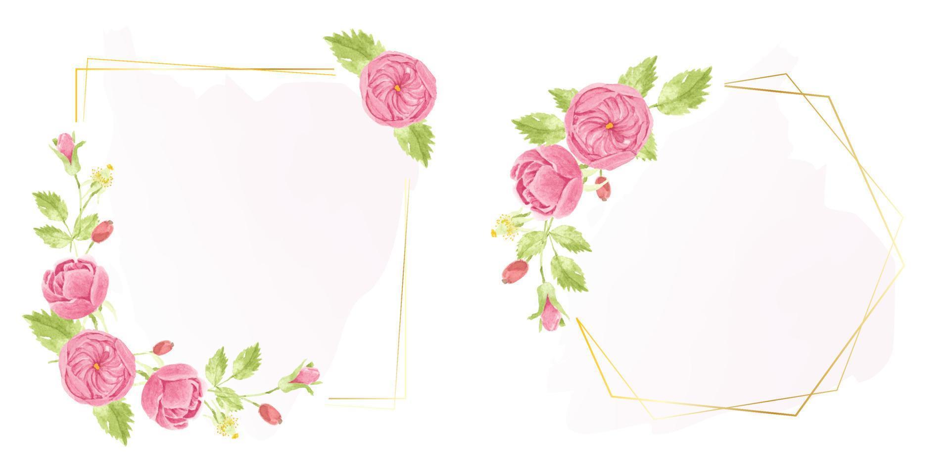 aquarellhand zeichnen rosa englischen rosenkranz mit geometrischer goldener rahmensammlung vektor