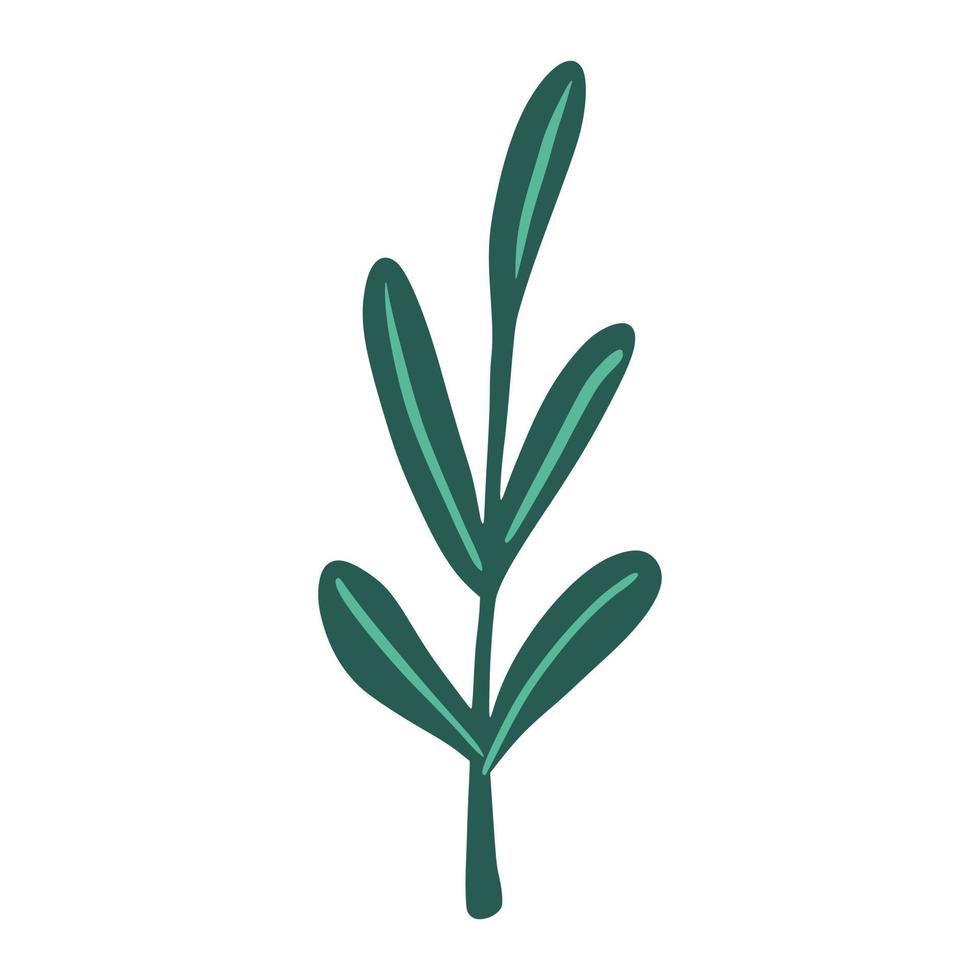 lövverk på kvistar isolerad på vit bakgrund. skandinavisk botaniska grön färg skiss i hand ritade. vektor