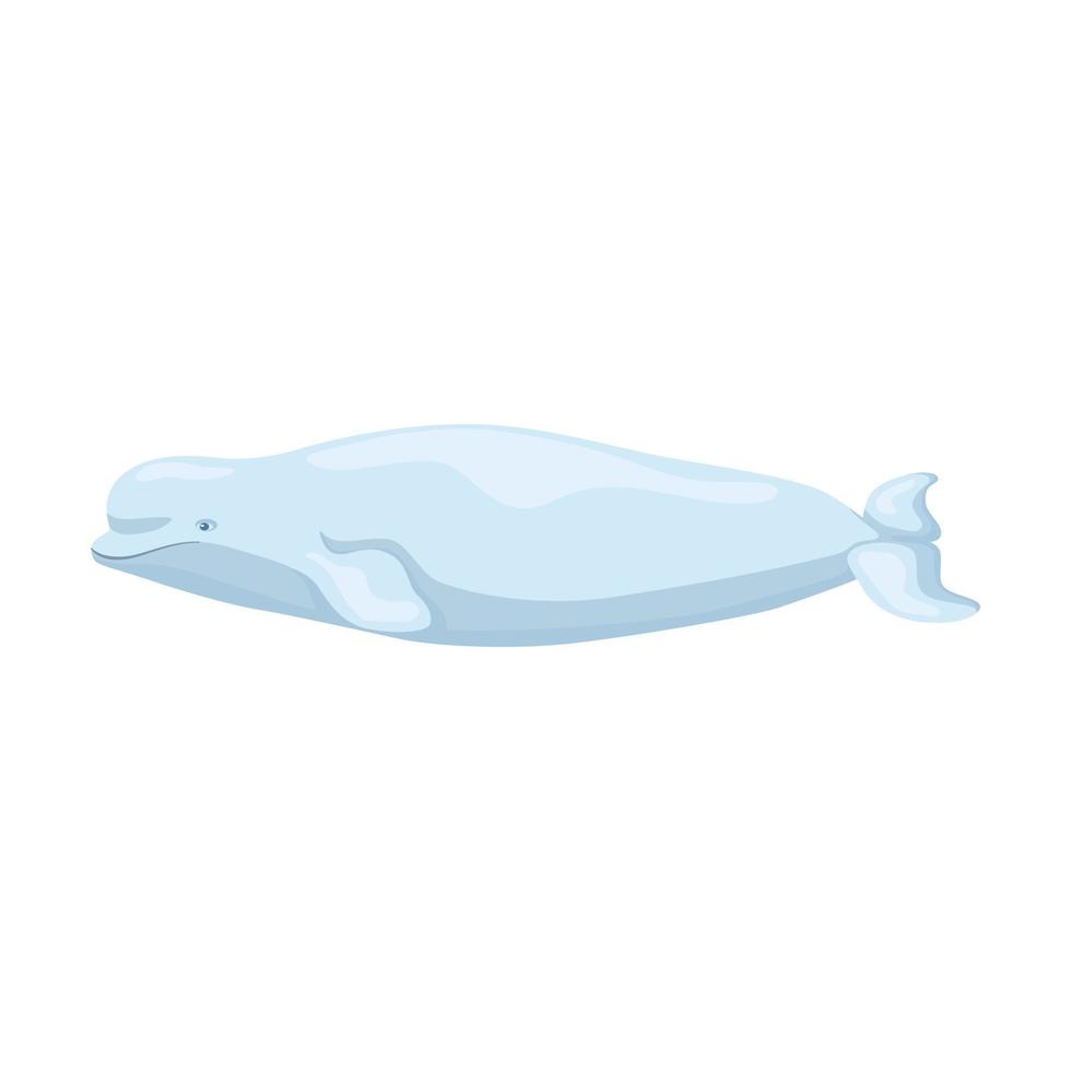 beluga isolerad på vit bakgrund. seriefigur av havet för barn. enkelt tryck med marint däggdjur. vektor