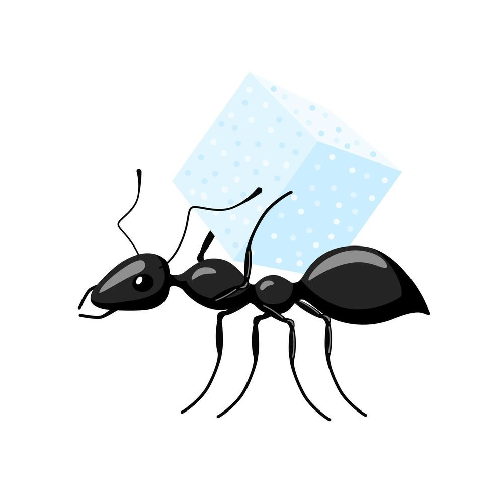 Ameise mit Essen isoliert auf weißem Hintergrund. Käfer, der Zuckerwürfel trägt und zum Ameisenhaufen geht. vektor