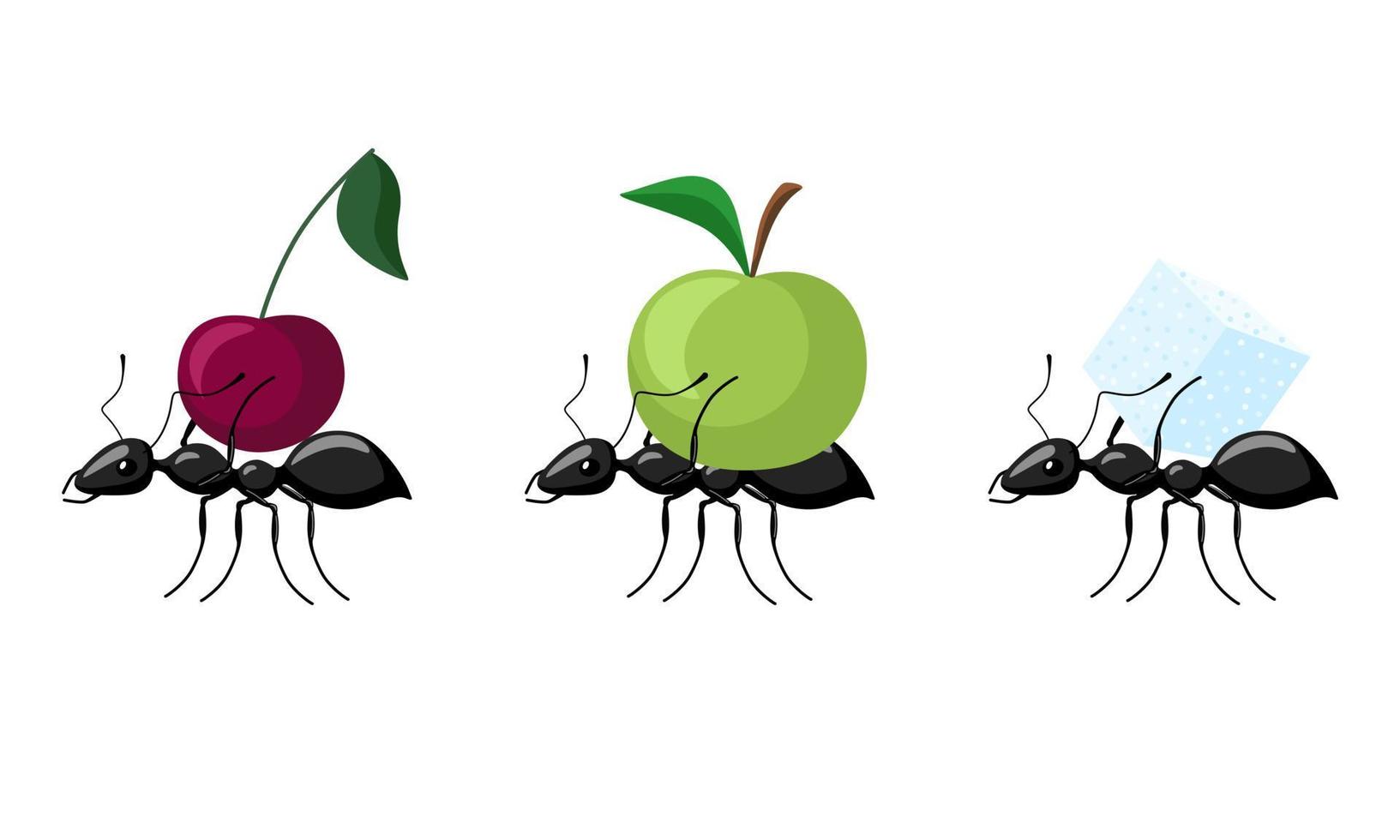 Stellen Sie Ameisen ein, die verschiedene Früchte tragen, die auf weißem Hintergrund lokalisiert werden. Ameisenkolonie, die Apfel, Kirsche, Zucker trägt und zum Ameisenhaufen geht. vektor