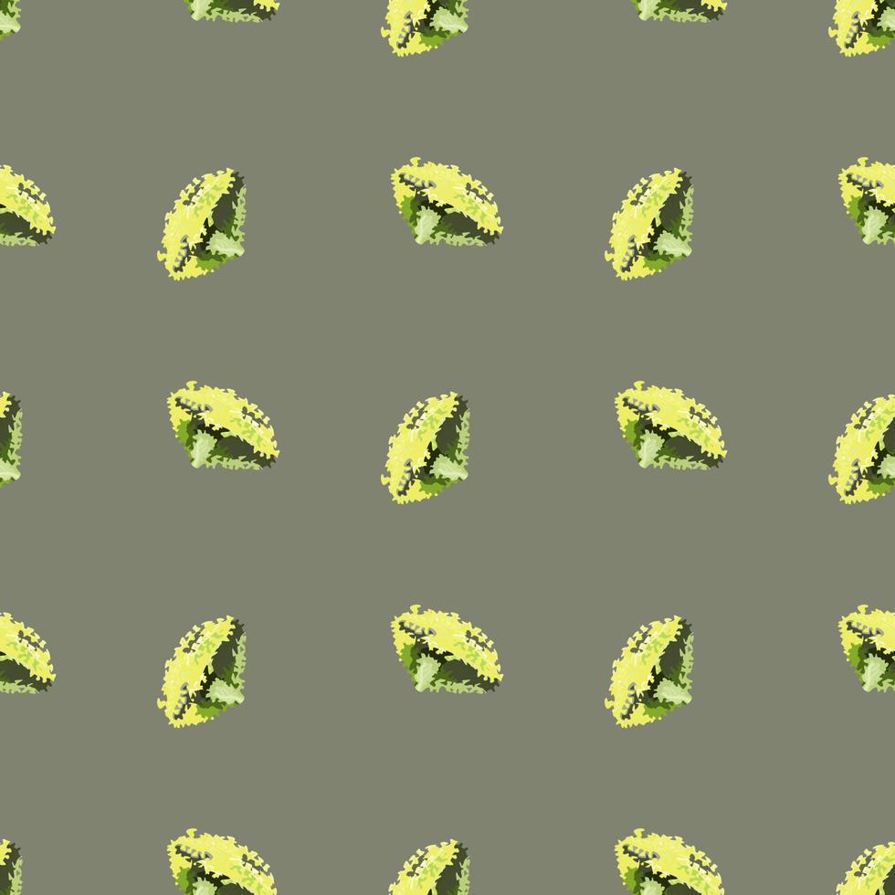 nahtlose Muster Lola Rosa Salat auf grünem Hintergrund. modernes Ornament mit Salat. vektor