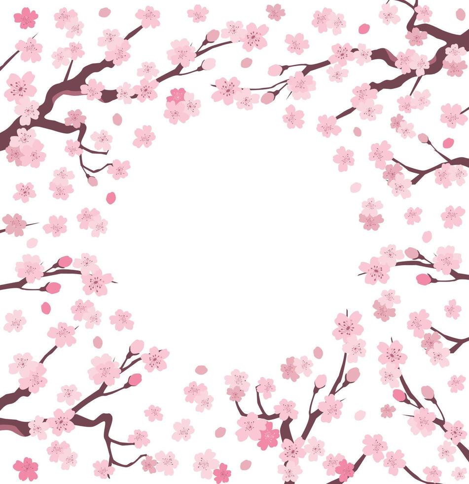 sakura japan kirschzweige mit blühenden blumen und rahmen auf transparentem hintergrund vektor