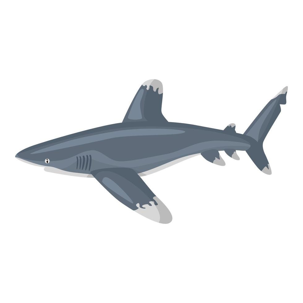 oceanisk whitetip haj isolerad på vit bakgrund. seriefigur av havet för barn. vektor