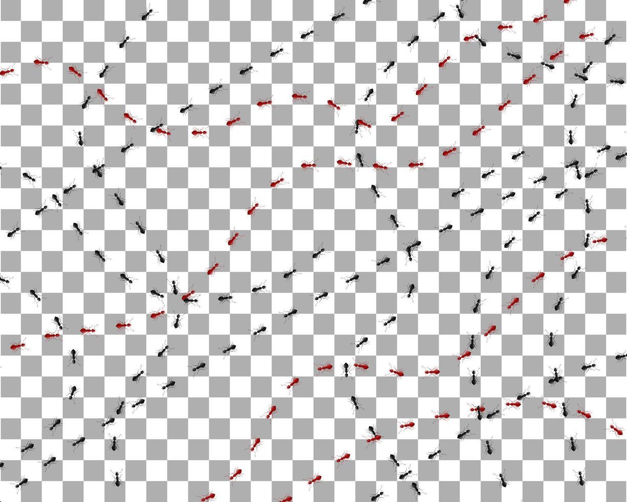 ameisen verfolgen verschiedene richtungen auf transparentem hintergrund. eine Reihe roter und schwarzer Ameisenkolonnen marschieren. vektor