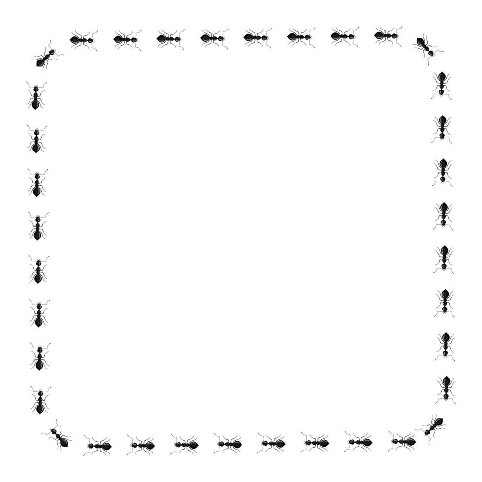 quadratische Ameisen isoliert auf weißem Hintergrund. vektorinsektencharakter im flachen stil für buchillustration. vektor