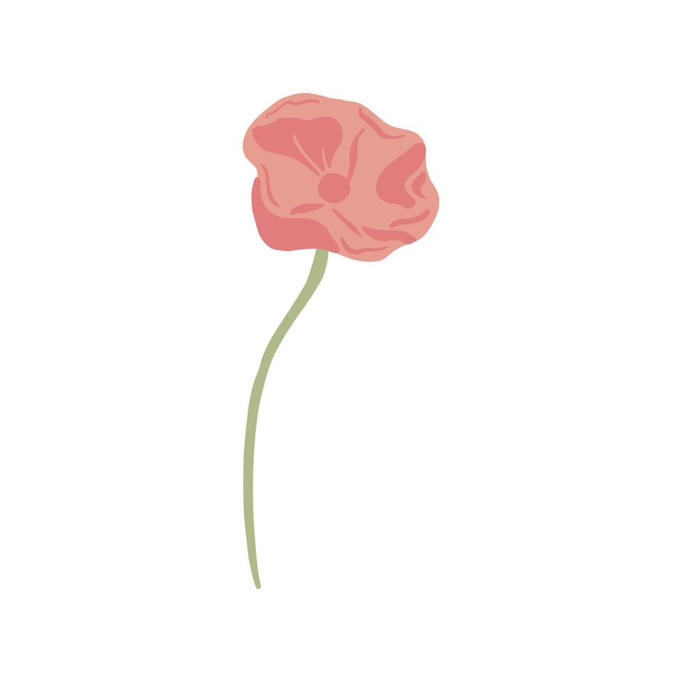 Mohn mit Stiel isoliert auf weißem Hintergrund. Skizze Frühlingsblume rosa. schöne Sommerpflanze im Doodle-Stil. vektor