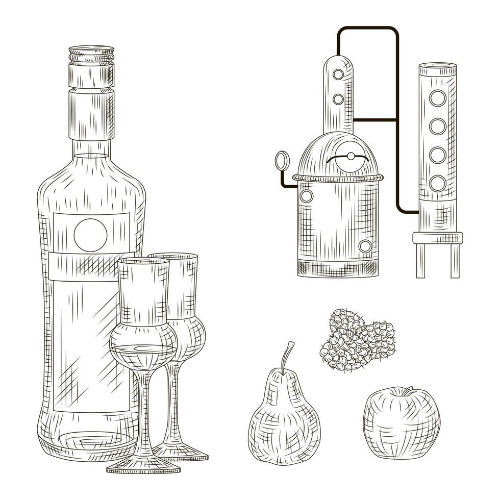 Set Schnaps. deutschland traditionelles alkoholgetränk. Flasche, Glas, Destillierkolben, Himbeere, Apfel, Birne. vektor