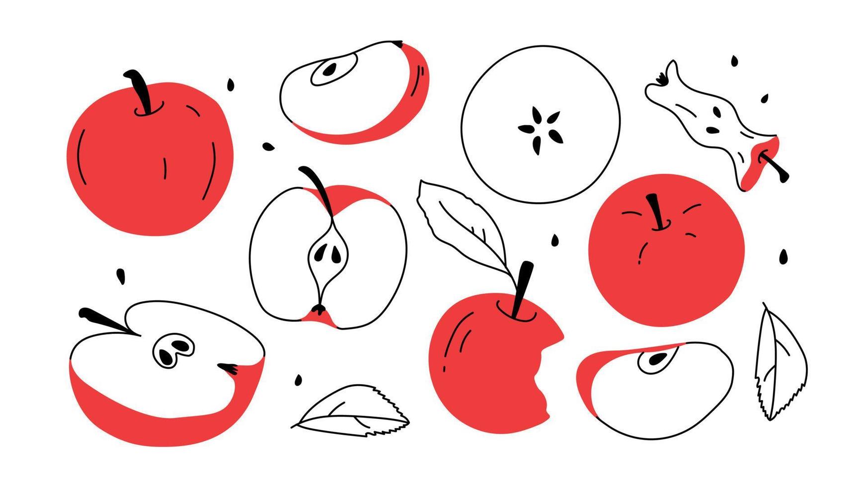 set med rött äpple och äppelskivor. handritade element frukt kärna och hälften av äpple. doodle, enkelt vektor