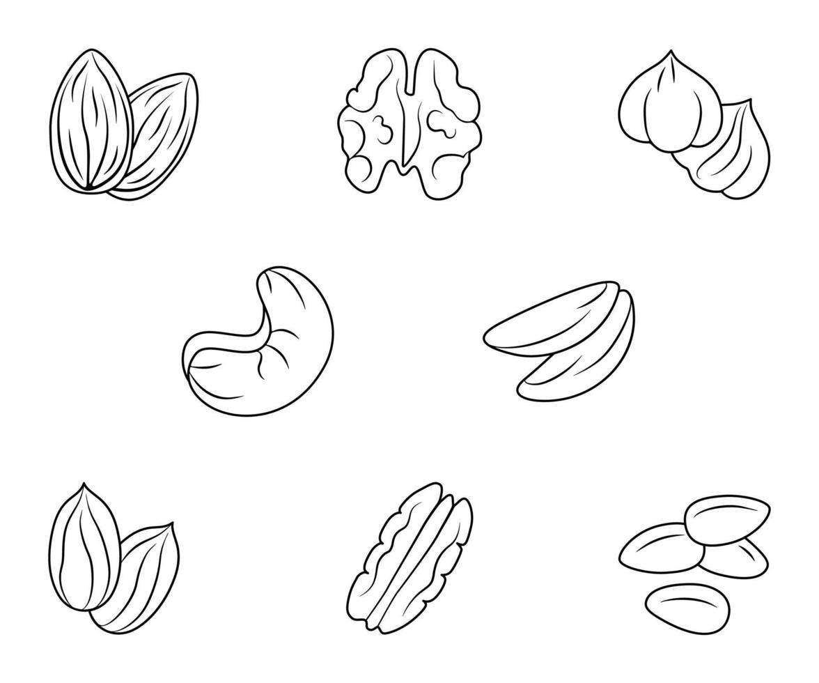 Nüsse sind verschiedene Arten einer Reihe von Kontursymbolen. Vektorlineare Illustration isoliert auf weißem Hintergrund für Website-Design von Produkten, Anwendungen, Drucken vektor