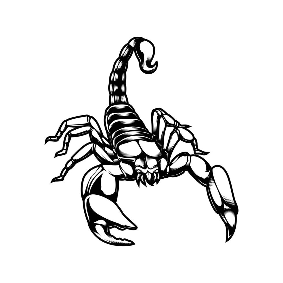 scorpion line art vektor