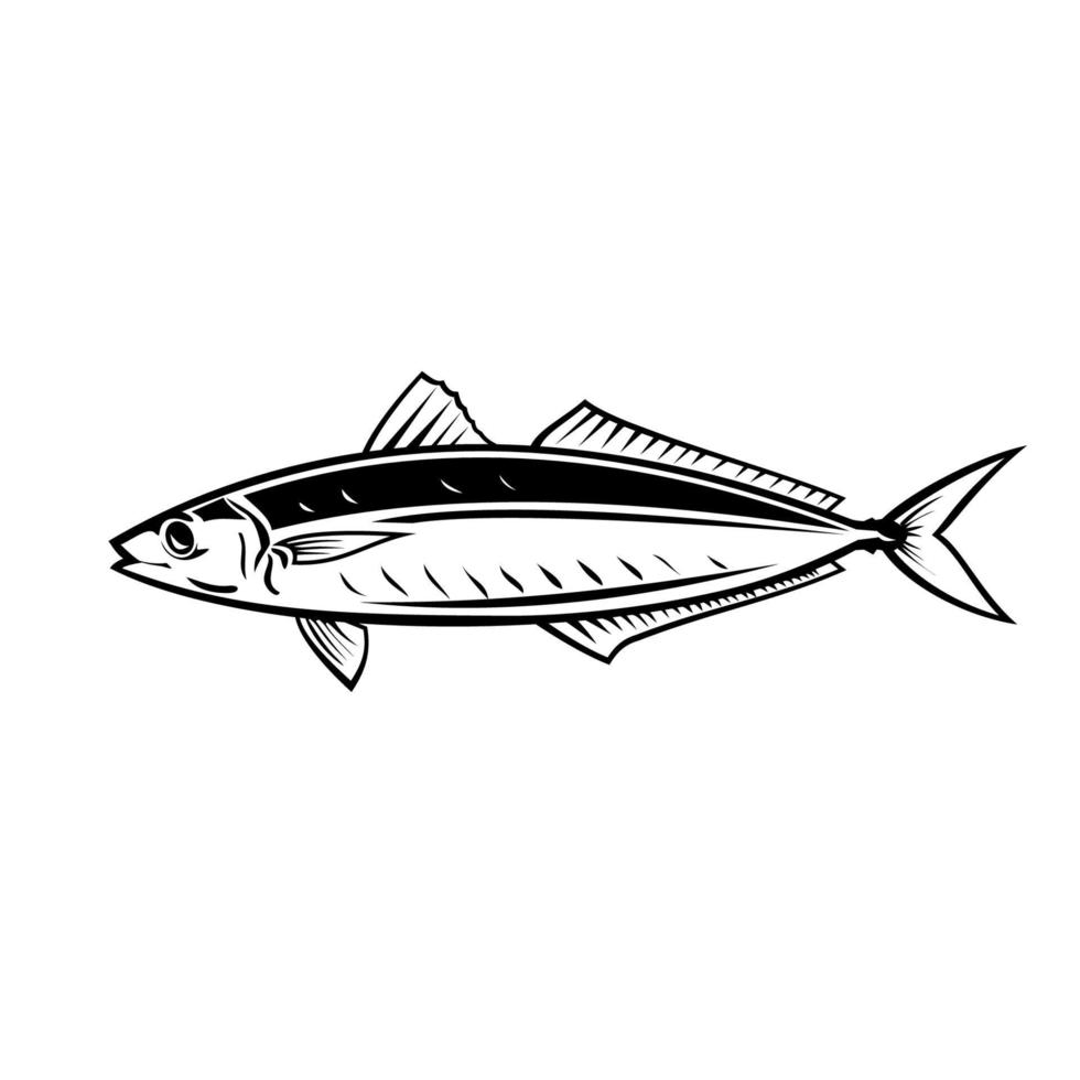 Runder Scad-Fisch oder Makrelen-Scad-Seitenansicht-Maskottchen Retro vektor