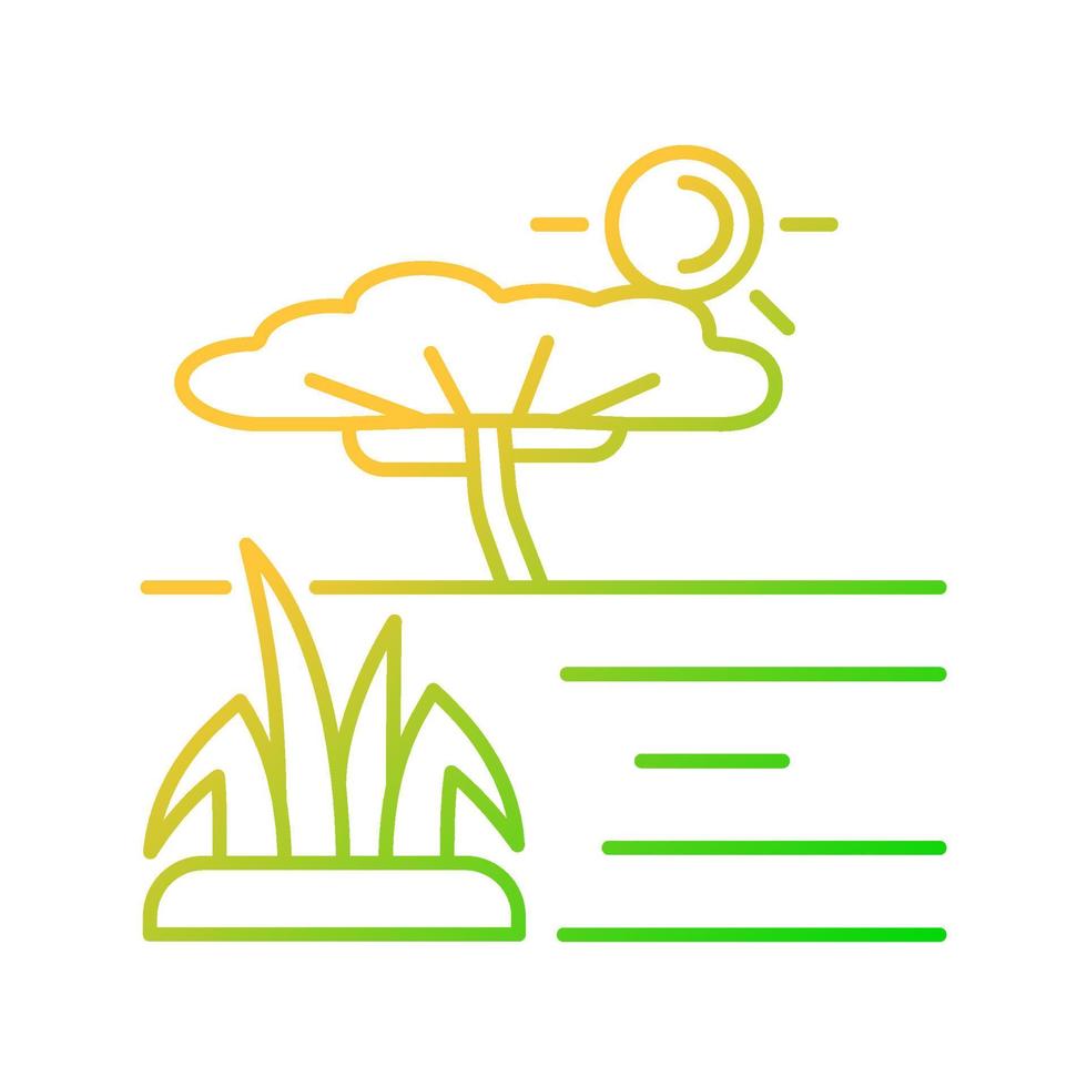 savanna gradient linjär vektor ikon. afrikansk gräsmark och skogsmark. vanligt tropiskt land med separerade träd. tunn linje färgsymbol. modern stil piktogram. vektor isolerade konturritning