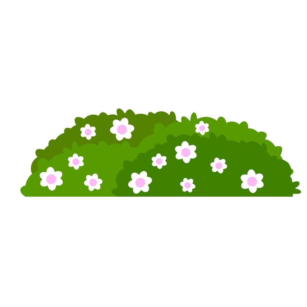 grüne Heckenbüsche mit Blumen. Element des Gartens. kleine Pflanze mit Blättern. vektor