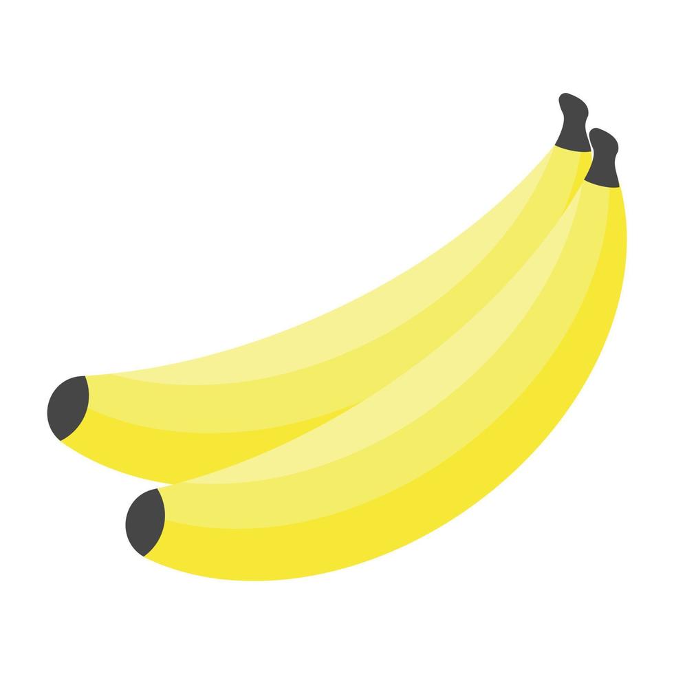 tropiska bananer frukt vektor, hälsosam kost vektor