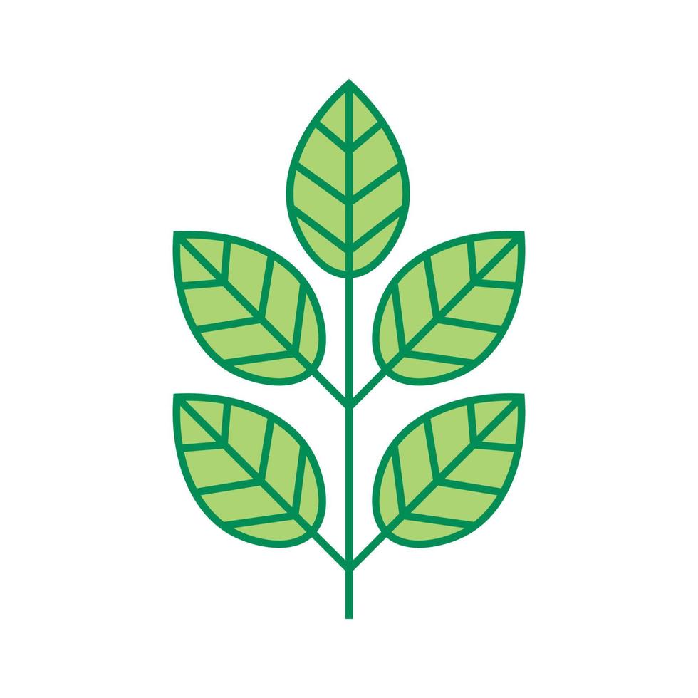 Pflanze dünne Linie Symbol isoliert auf weißem Hintergrund. Symbol für dünne Blätter. Ast mit Blättern. vektor