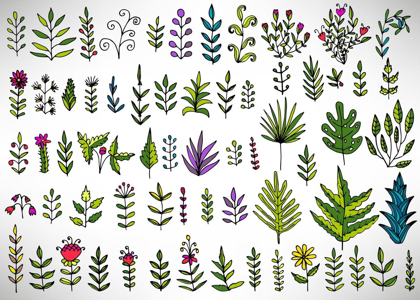 blommig uppsättning färgglada handritade element, trädgren, buske, växt, tropiska löv, blommor, grenar, kronblad isolerade på vitt. samling för design. vektor