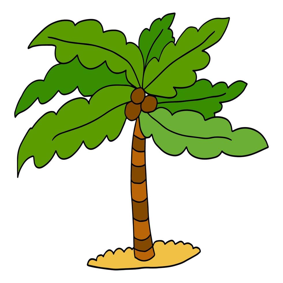 söt tecknad doodle linjär palm isolerad på vit bakgrund. exotiska träd skiss. vektor