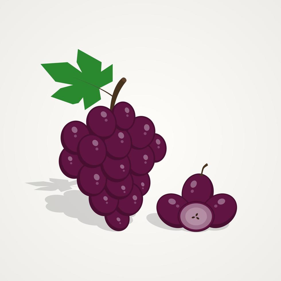 tropisk frukt uppsättning av grape frukt illustration på isolerade bakgrund vektor