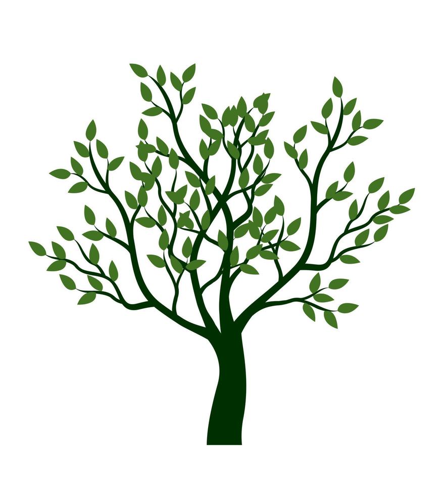 träd med löv. vektor kontur illustration. plantera i trädgården.