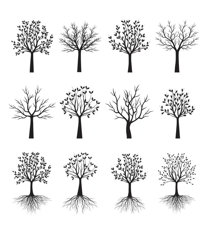 träd samling. vektor kontur illustration. plantera i trädgården.