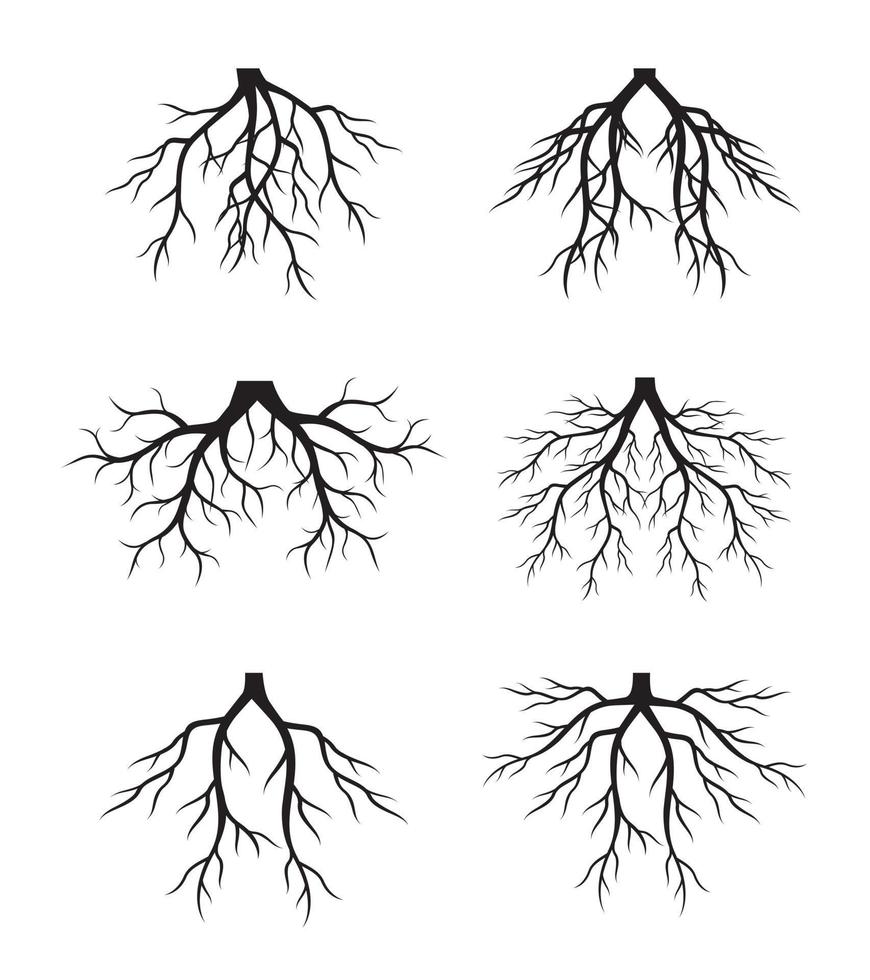 Baumwurzeln. Vektordateien. Vektor-Umriss-Illustration. Pflanze im Garten. vektor