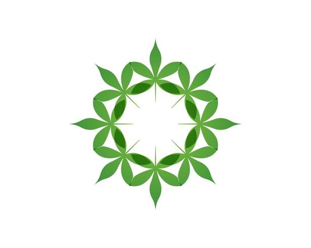 Leaf blommönster mönster och symboler på en vit bakgrund vektor