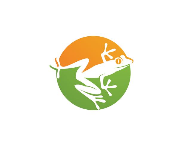 grüner Frosch Symbole Logo und Vorlage vektor