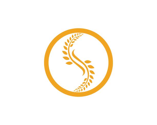 Jordbruk vete Logo Mall, hälsosam livslogo vektor ikon design