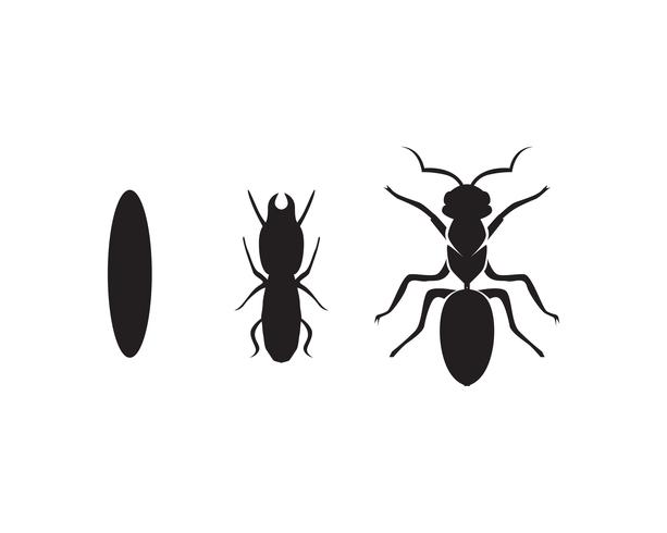 Ant Logo-Schablonenvektor-Illustrationsdesign vektor