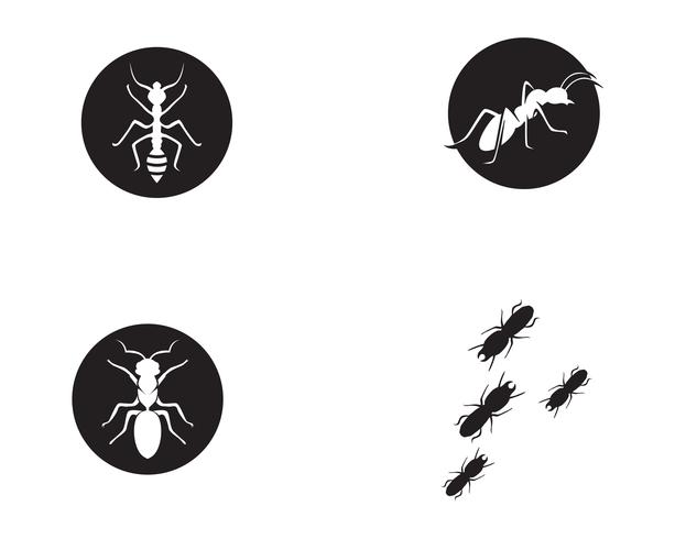 Ant Logo-Schablonenvektor-Illustrationsdesign vektor