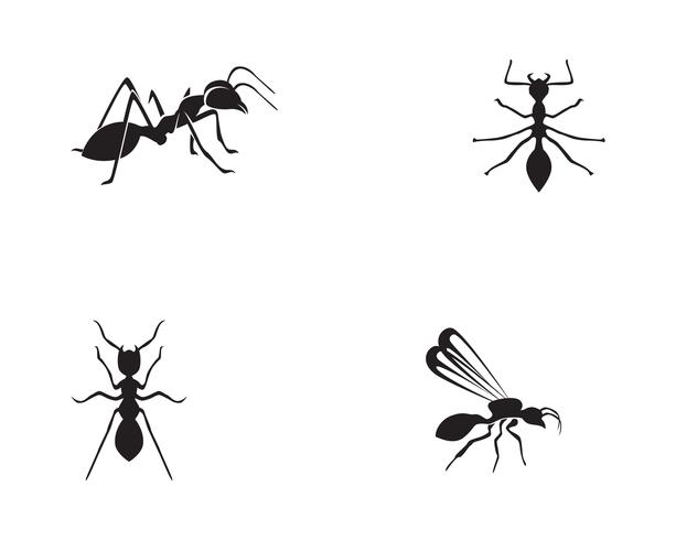 Ant Logo-Schablonenvektor-Illustrationsdesign vektor