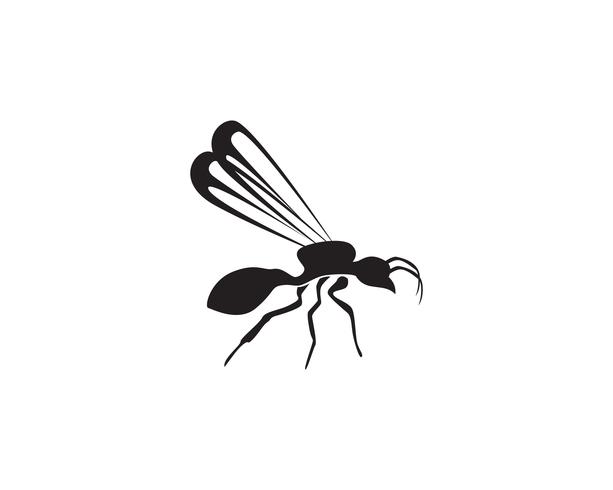 Ant Logo-Schablonenvektor-Illustrationsdesign vektor