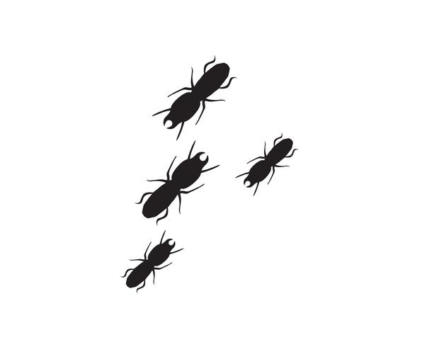 Ant Logo-Schablonenvektor-Illustrationsdesign vektor