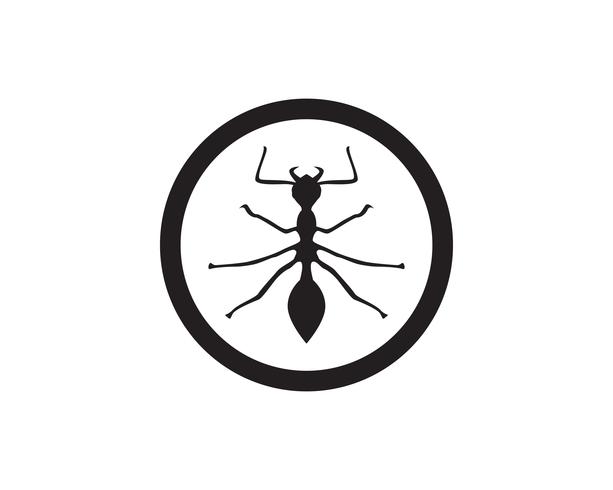 Ant Logo-Schablonenvektor-Illustrationsdesign vektor